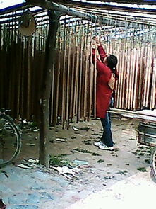 河南竹木加工廠 竹簽、二手制香機(jī)與營(yíng)林機(jī)械制造的綜合服務(wù)